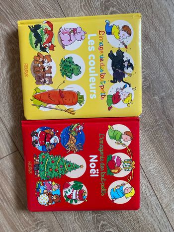 Lot de 2 livres /12 moi