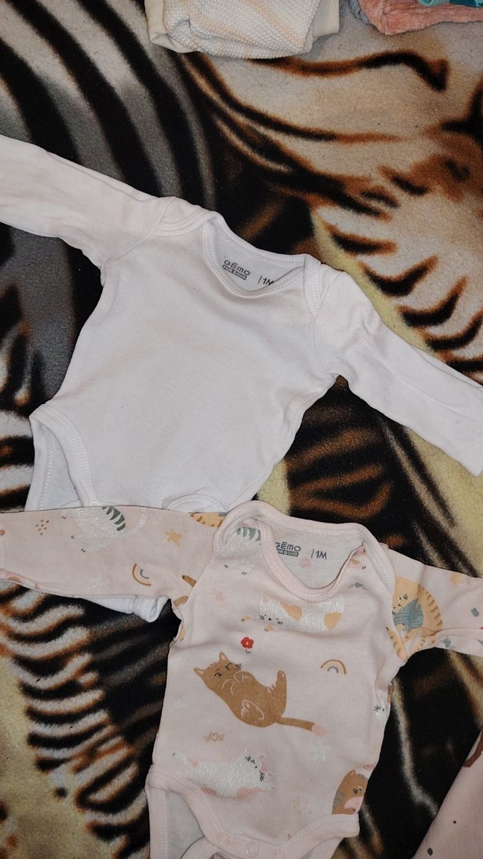 Bodie bebe - photo numéro 2