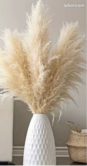 Bouquet de pampas , décoration