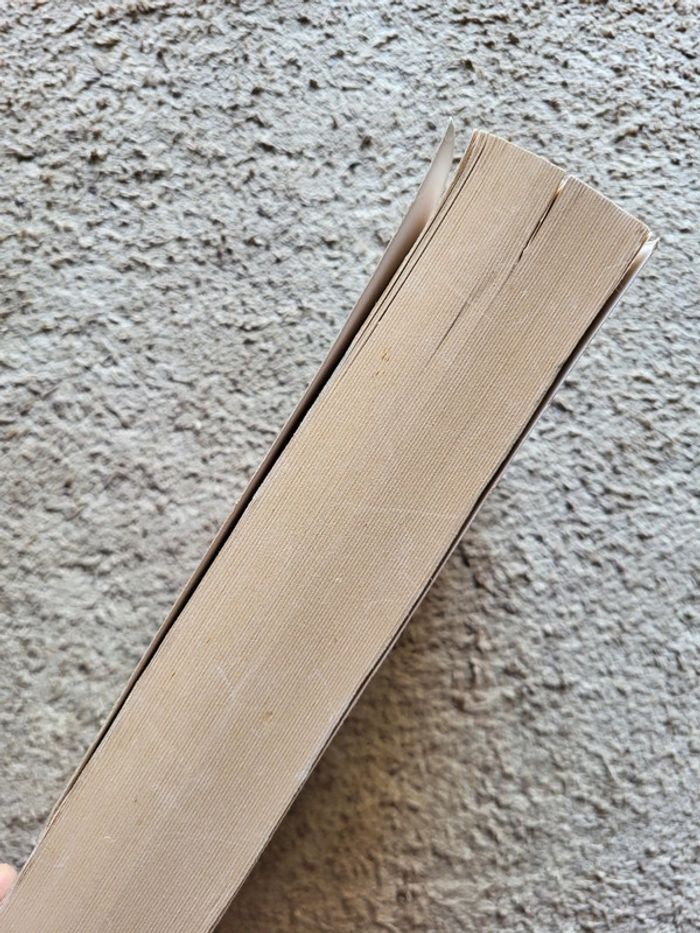 Livre Scarlett de Alexandra Ripley – La suite d’Autant en emporte le vent - photo numéro 3