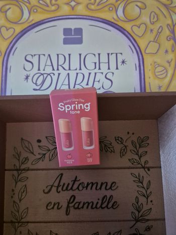 encre à lèvres spring tone laka