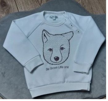 pull "mes petits cailloux" 18 mois en très bon état