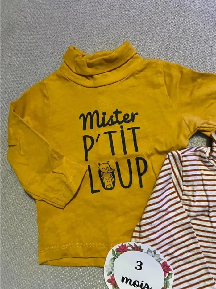 Lot 2 pulls cols roulés tape à l’œil 3 mois - photo numéro 2