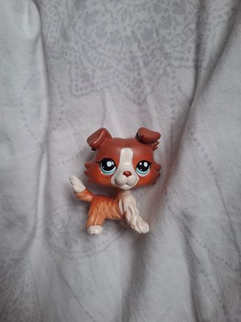 Petshop