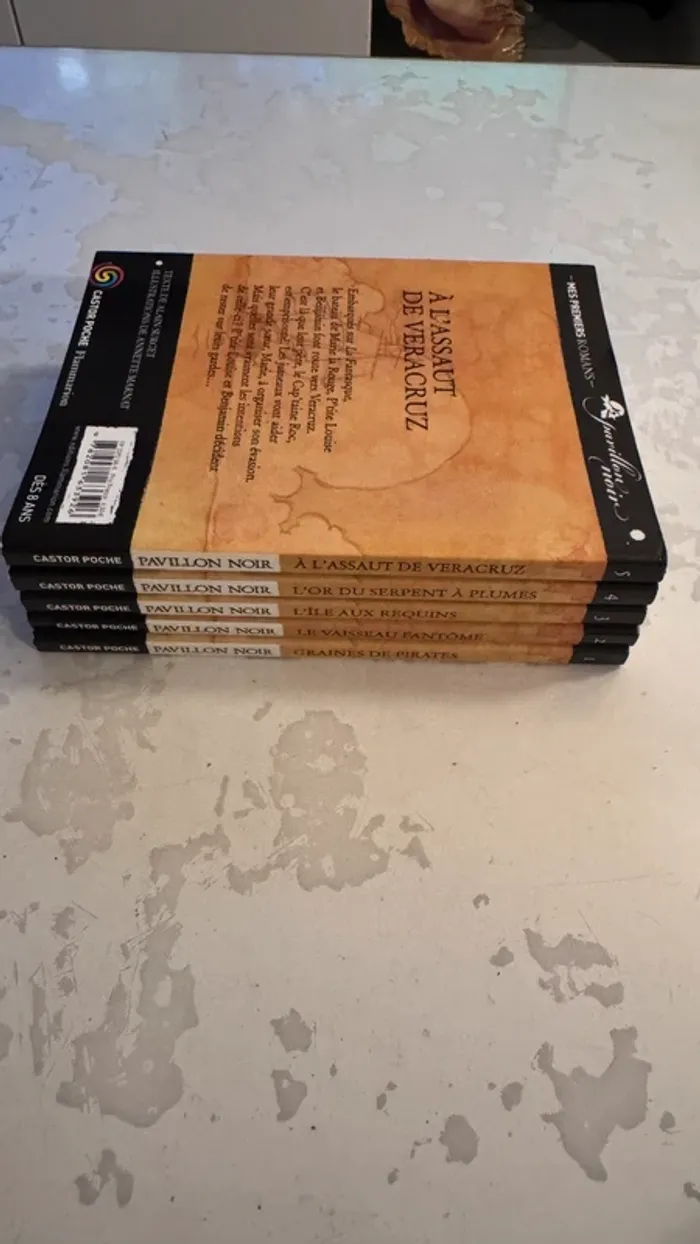 📚 Lot complet – Collection Les Frères Faucons 5 tomes – Alain Surget / Annette Marnat - photo numéro 3