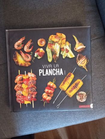 Livre de cuisine.recettes pour plancha