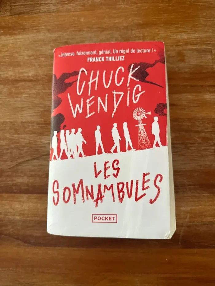 Livre les somnambules