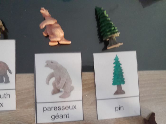 figurines + fiches nomenclature Montessori - la préhistoire - photo numéro 3