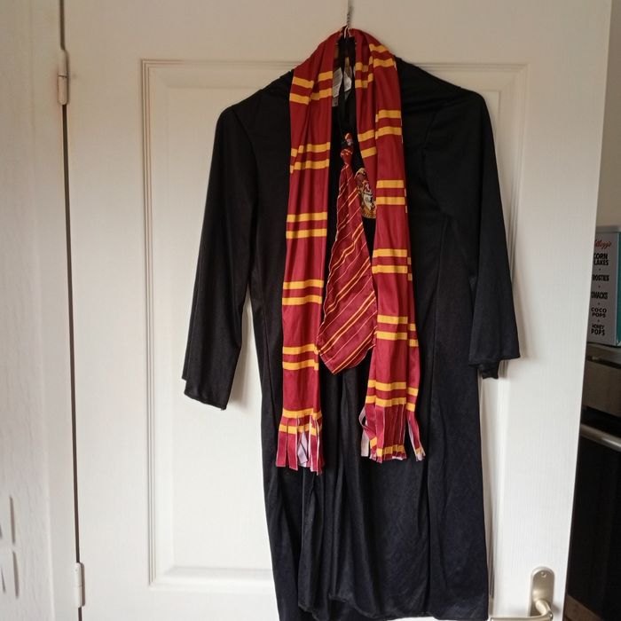 Déguisement Harry Potter - photo numéro 2