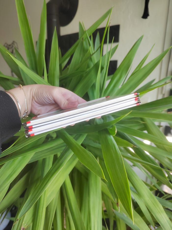 Lot de 2 livres "Max et Lili" - photo numéro 5