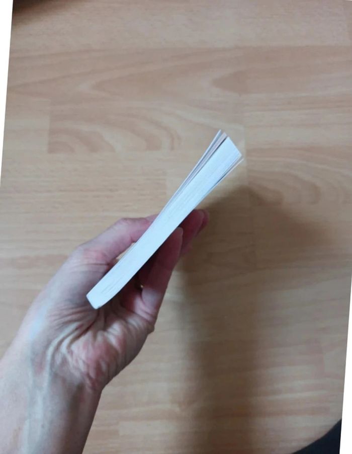 Le bonheur est dans le travail - photo numéro 7