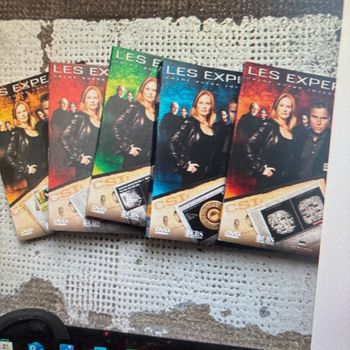 Dvd les experts