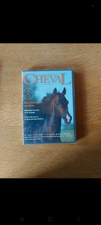 DVD