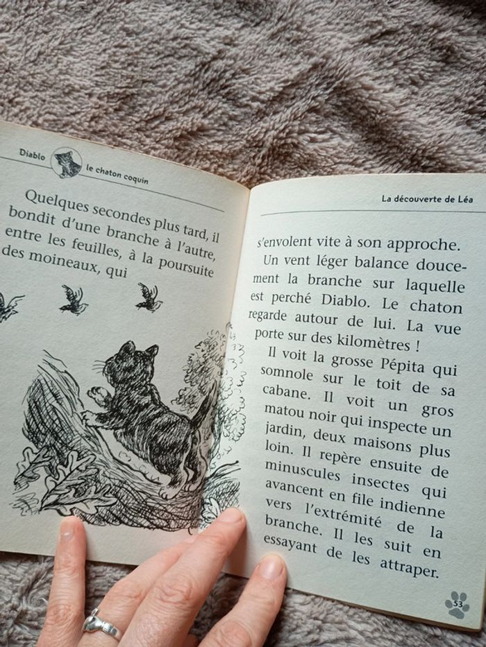 Livre diable le chaton coquin - photo numéro 2