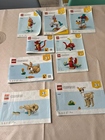 Notices lego creator 3 en 1