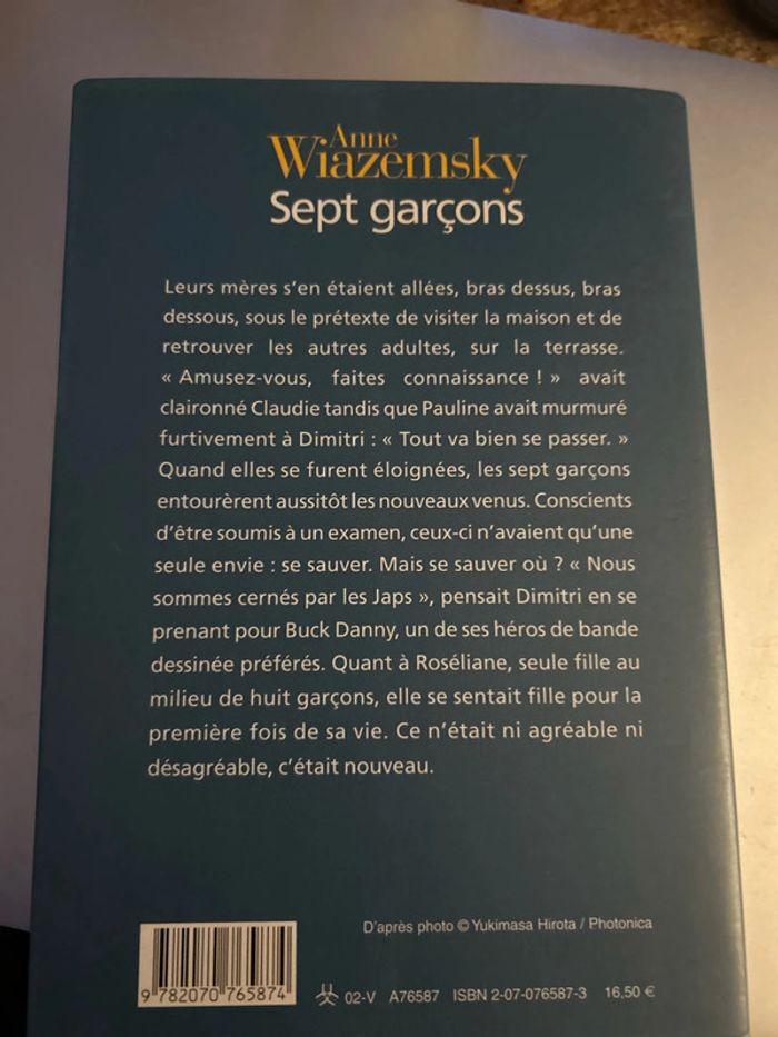 sept garçons - photo numéro 2