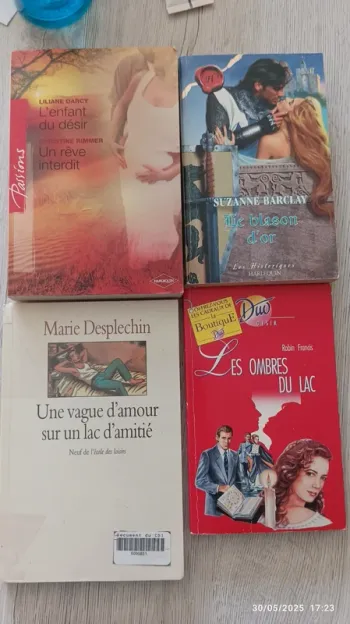 Lot 4 livres