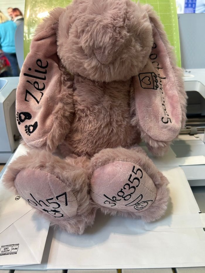 Lapin personnalisé - photo numéro 2