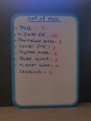 Lot bébé fille 18 mois