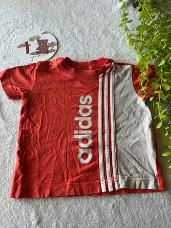 Tres beau tee shirt courte manche bébé garçon