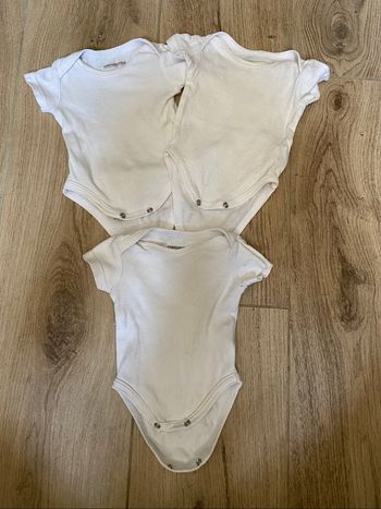 Bodies