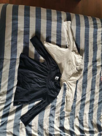 Lot de 2 tee shirt petit bateau fille