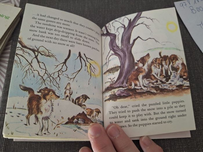 LIVRE ANGLAIS Vintage Four puppies - photo numéro 5