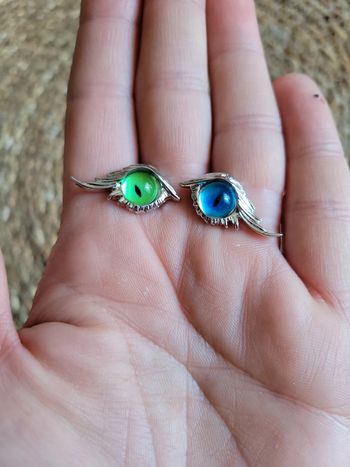 Clous d oreilles oeils veyron chat