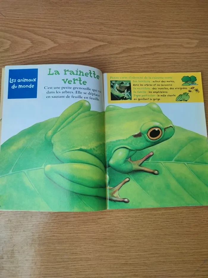 Livre youpi l'histoire de la poste - photo numéro 6
