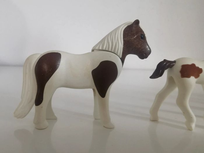 Playmobil lot animaux personnage cheval poney poulain cavalière écuyere - photo numéro 3