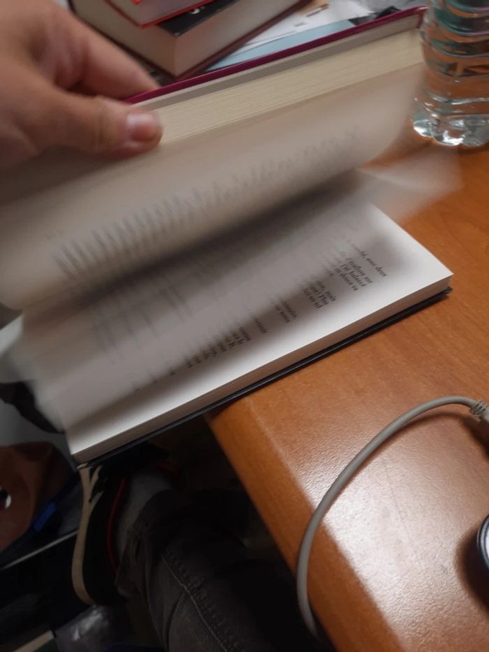 Livre picouly - photo numéro 7