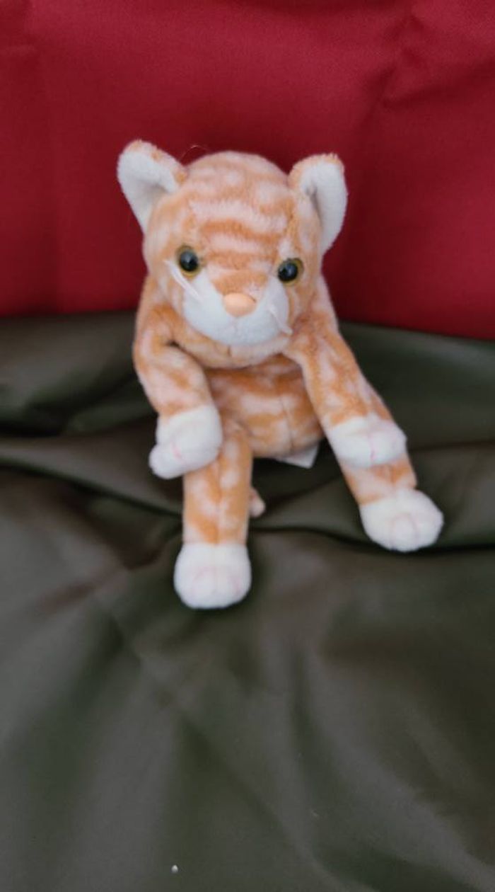TY Beanie Babies 1999 AMBER Le Chat Kitty Tabby - photo numéro 6