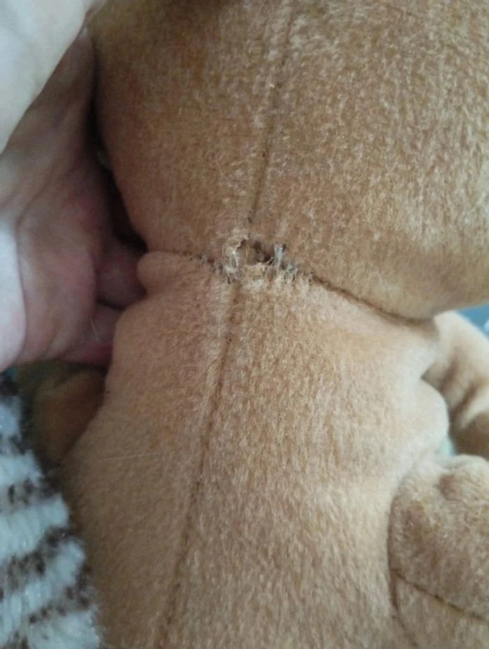 🐻 Scratch Age de glace 4 🐻 - photo numéro 8