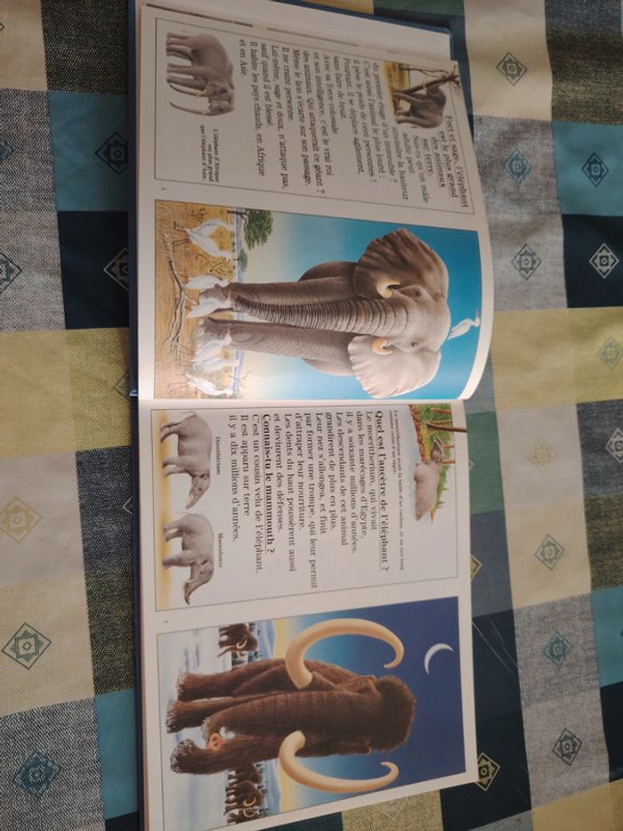 Livre sur l'éléphant - photo numéro 7