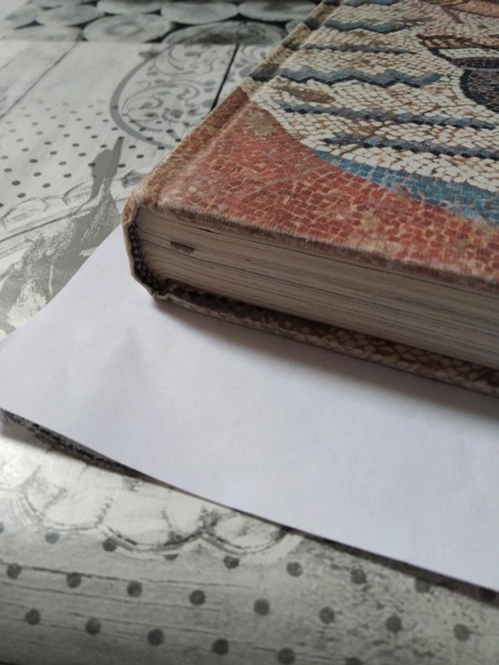 Révélation de l'archéologie - photo numéro 6