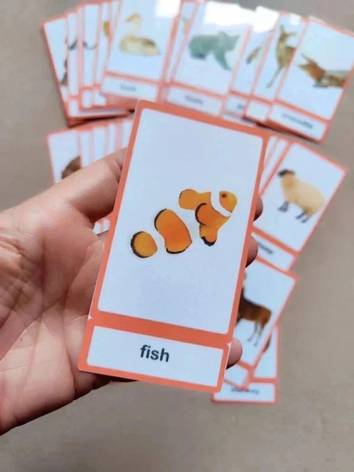 Lot de 56 cartes de nomenclature sur les animaux en Anglais Montessori - photo numéro 2
