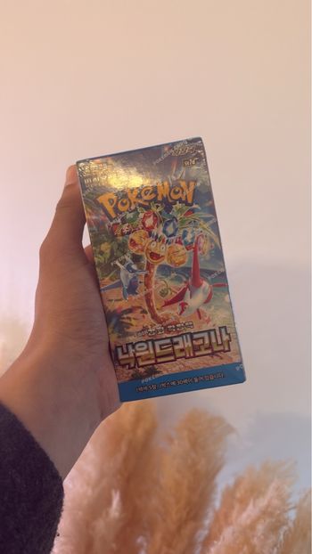 Display coréenne paradise dragona