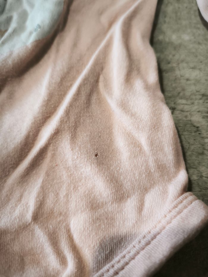 Body lapin - photo numéro 3