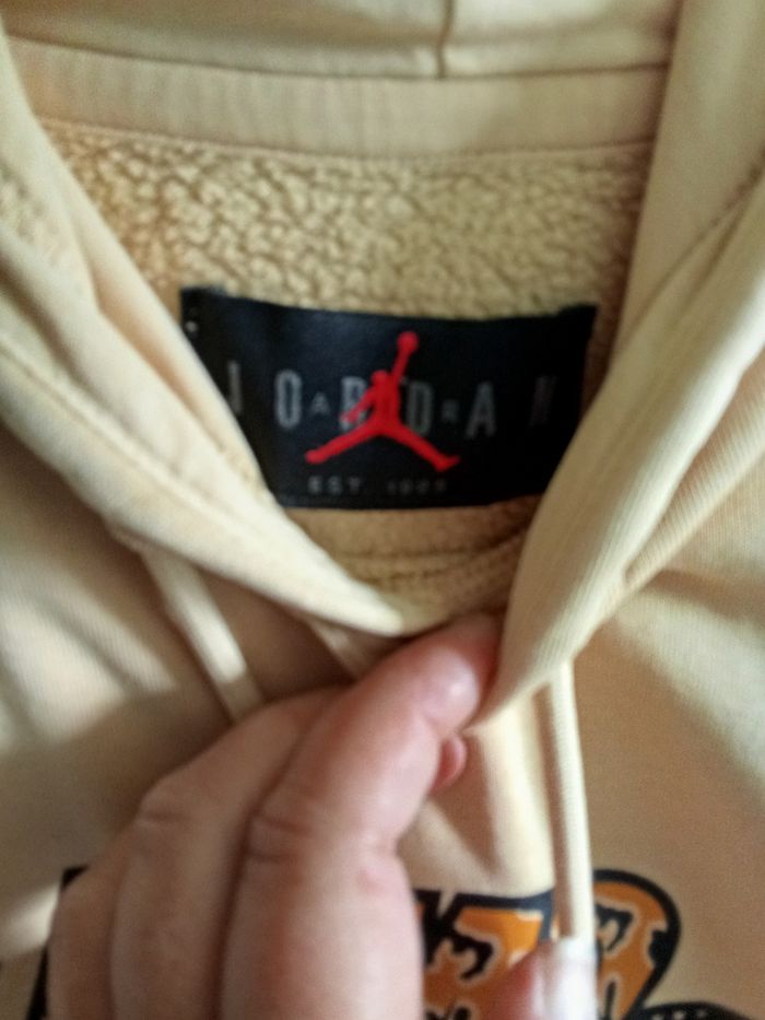 Sweat capuche Nike Jordan - photo numéro 3