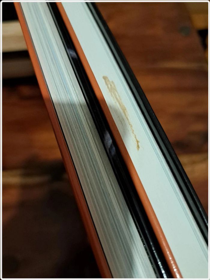 Idéal cadeau Noël - Coffret livres Vin Philippe Faure-Brac cave à vins ideale - photo numéro 4