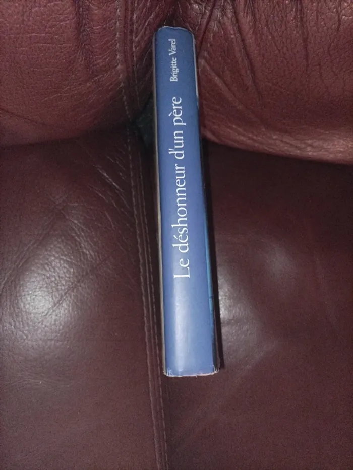 Livre le déshonneur d'un père - photo numéro 3