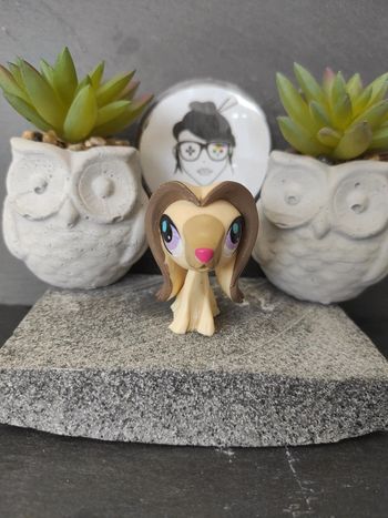 Littlest Petshop LPS chien levrier 2753 dog Greyhound Afghan #geektradelpschien