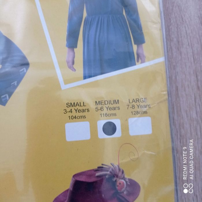 Déguisement Mary Poppins 5/6ans - photo numéro 2