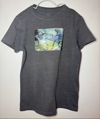T-shirt dinosaures gris /