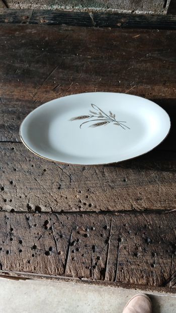 Petit plas en porcelaine de Limoges 