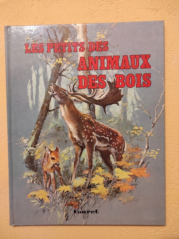 Les petits des animaux des bois