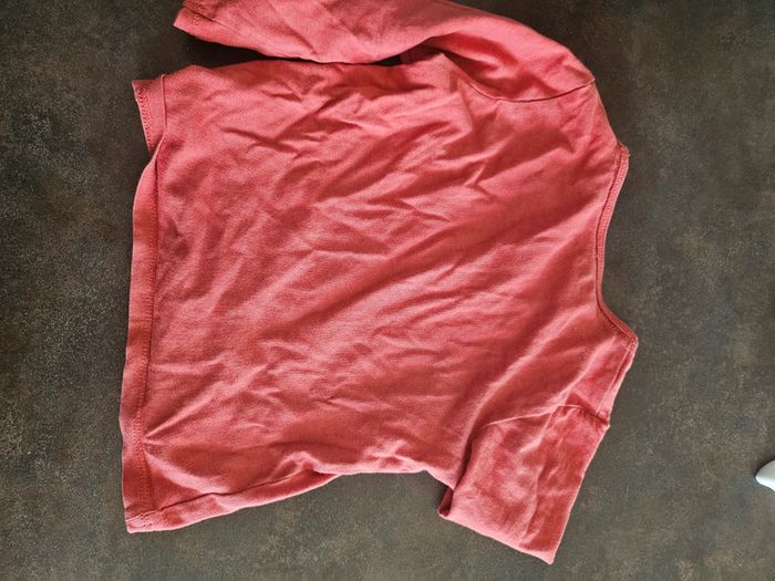 Tee shirt lion 18 mois - photo numéro 3