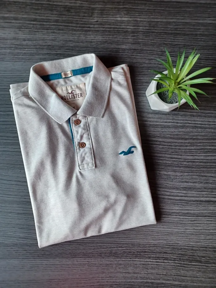 Polo Hollister