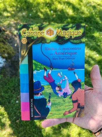 Livre cabane magique tome 22