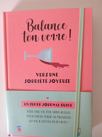 Balance ton verre ! Vers une sobriété joyeuse - journal de bord guidé